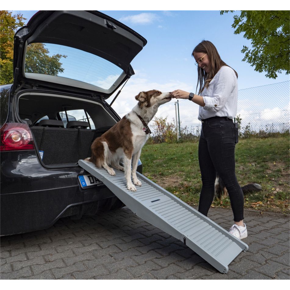 rampa-per-cani-emma-fino-a-40-kg-grigia-camp4