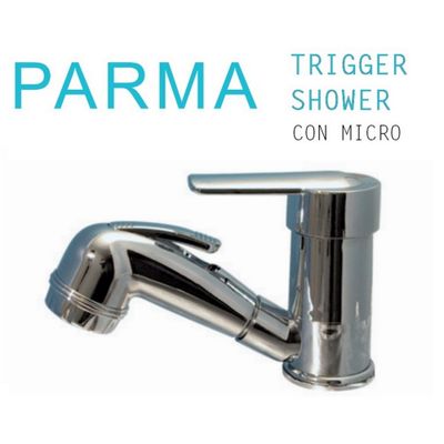 MISCEL. PARMA TRIGGER CROM. C.MICR.