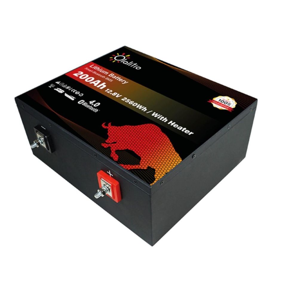 batteria-litio-200ah-128v-lifepo4-bluetooth-bms-sottose
