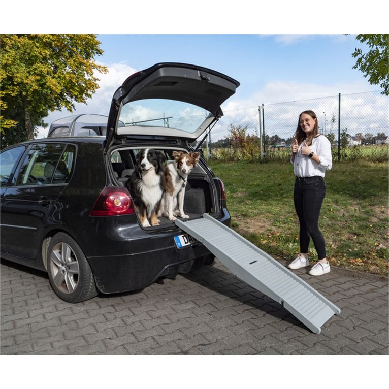 rampa per cani emma fino a 40 kg grigia - camp4