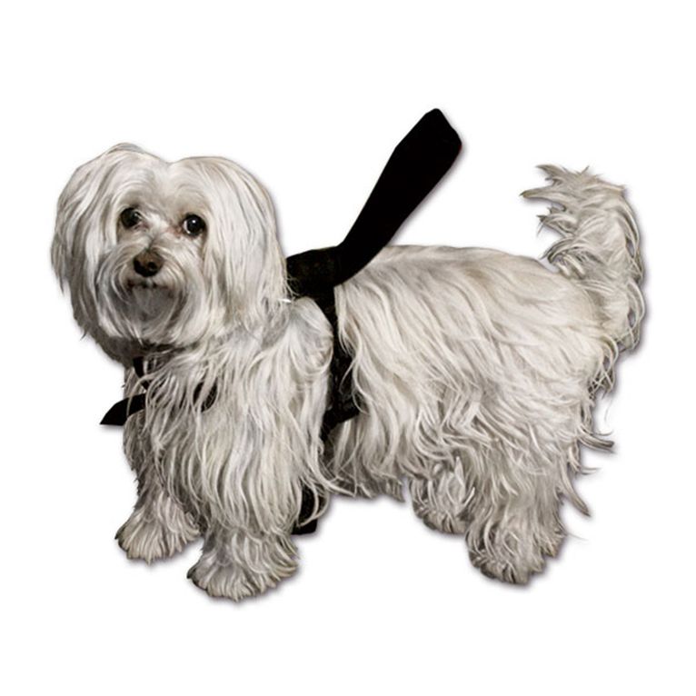 pettorina completa per cani • taglia l