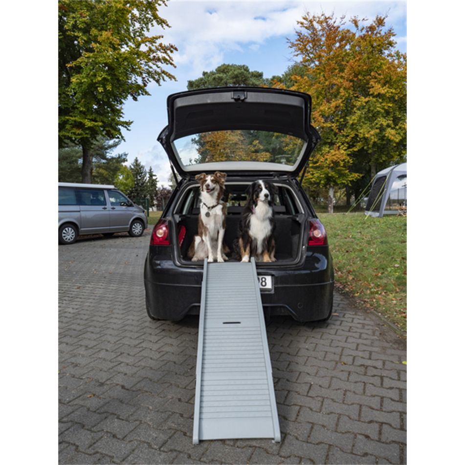 rampa-per-cani-emma-fino-a-40-kg-grigia-camp4