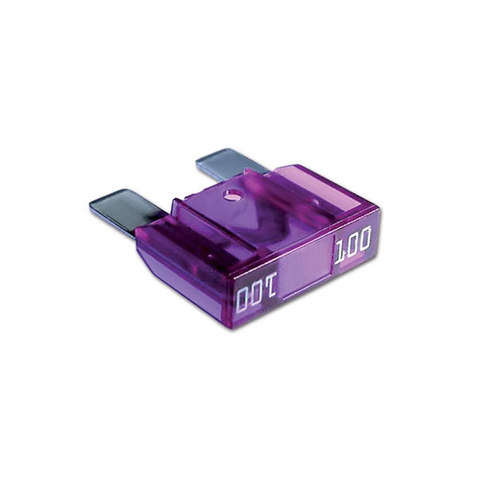 maxival-violetto-star-100-a