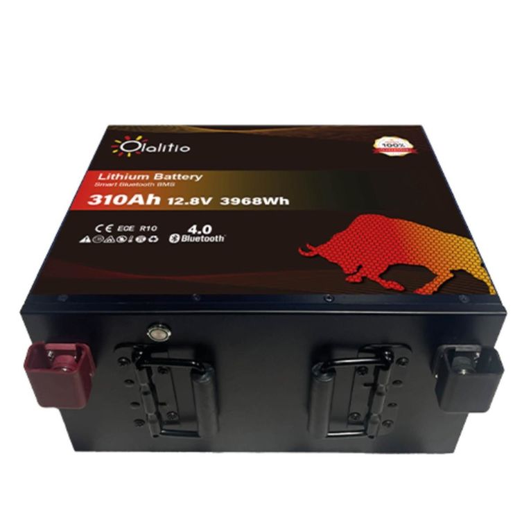 batteria litio 310ah 12,8v lifepo4 bluetooth-bms sottose