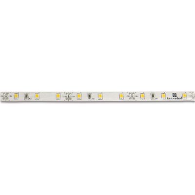 Striscia 300 LED • bianco neutro • 5 m