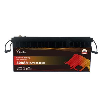 BATTERIA LITIO 300Ah 12,8V LiFePO4 BLUETOOTH-BMS-OLALITI