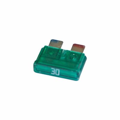 R460-30 FUSIBILE LAMA 30A CF.PZ.10 - CBE