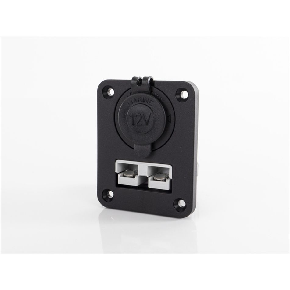 piastra-di-montaggio-con-anderson-e-presa-12v-carbest