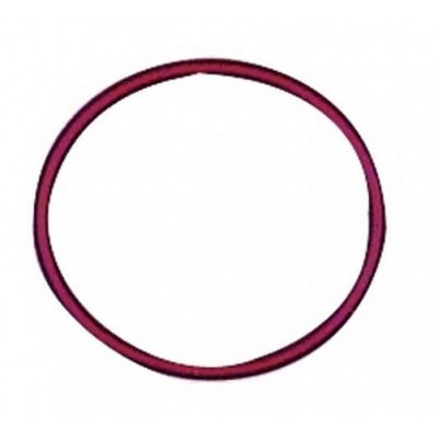 GUARNIZIONE O-RING 40X2,5MM - Truma