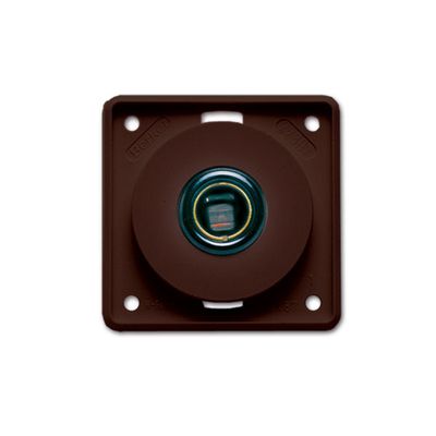 Presa DIN Berker • 12 V • marrone