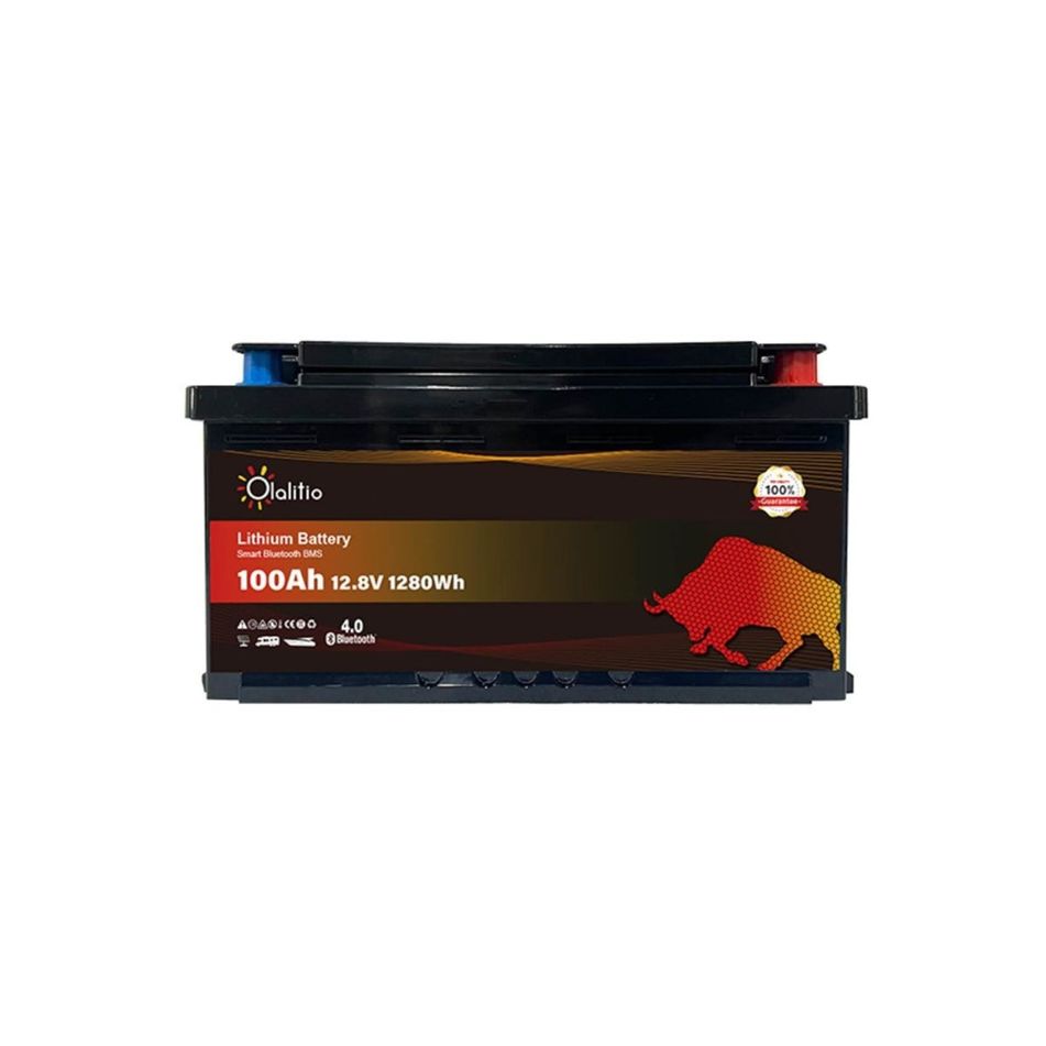 batteria-litio-100ah-128v-lifepo4-bluetooth-bms-sottose