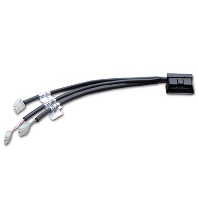 Cablaggio OBD per RAPTOR CANBUS