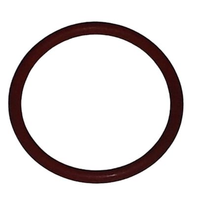 E24 BOILER NAUTICO O-RING CAMINO 2 - Truma