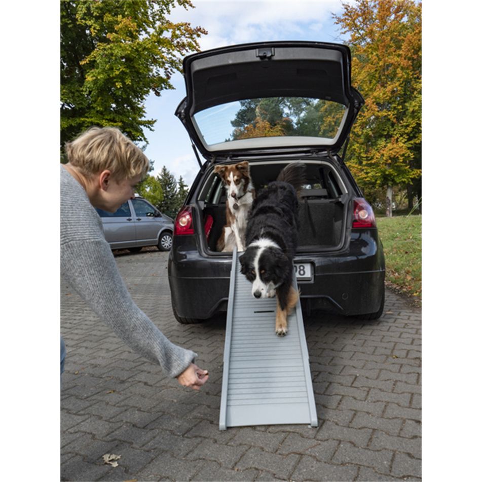 rampa-per-cani-emma-fino-a-40-kg-grigia-camp4