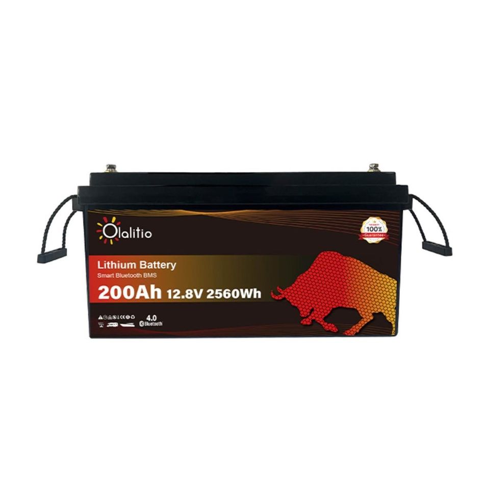 batteria-litio-200ah-12v-lifepo4-bluetooth-bms-riscaldat