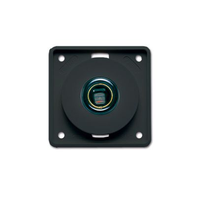 Presa DIN Berker • 12 V • nera