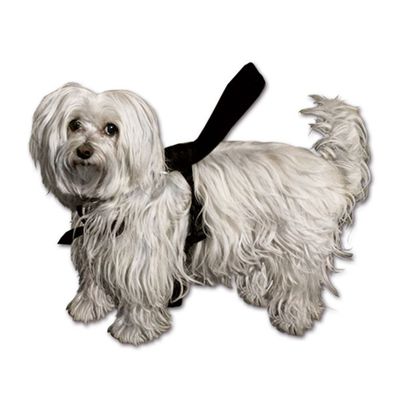 Pettorina completa per cani • taglia L