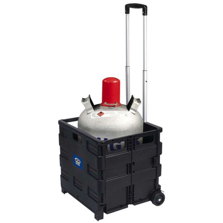 carrello trasporto con box pieghevole 35 kg - carbest