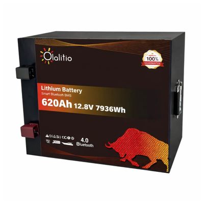 BATTERIA LITIO 620Ah 12,8V LiFePO4 BLUETOOTH-BMS