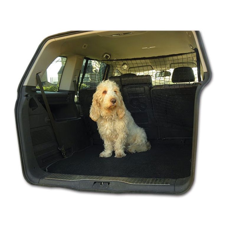 rete elastica per trasporto cani