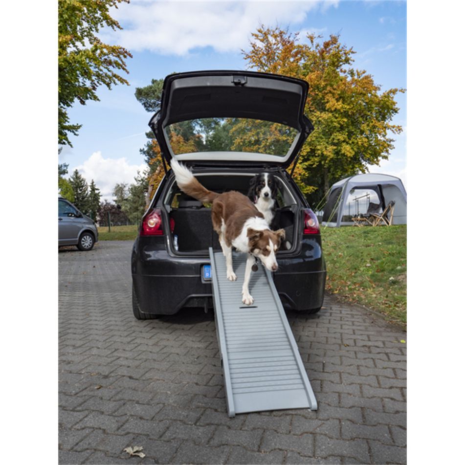 rampa-per-cani-emma-fino-a-40-kg-grigia-camp4