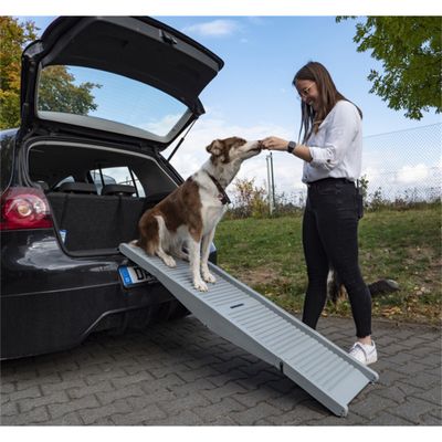 Rampa per cani Emma fino a 40 kg grigia - Camp4