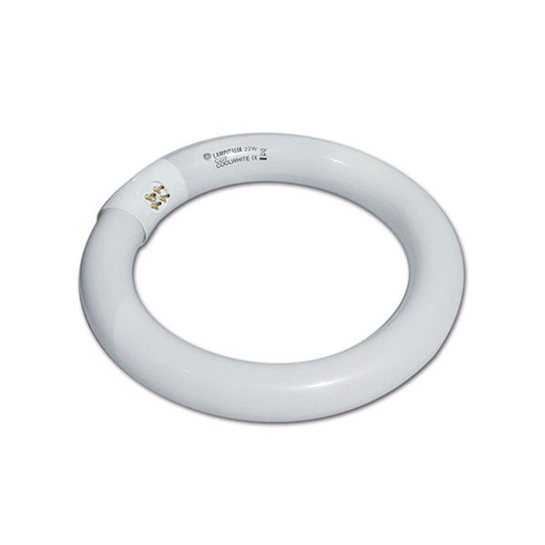 circolina neon • 22 w • ø 203 mm