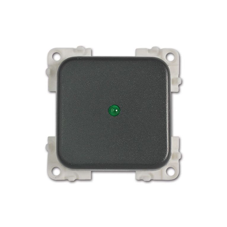 interruttore con led • 12 v • verde / grigio