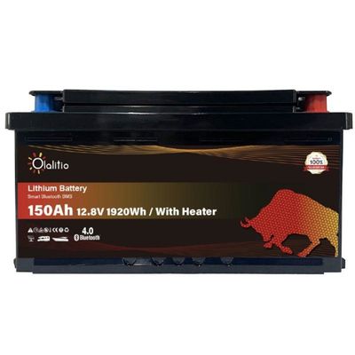 BATTERIA LITIO 100Ah 12,8V LiFePO4 BLUETOOTH-BMS PER T5/