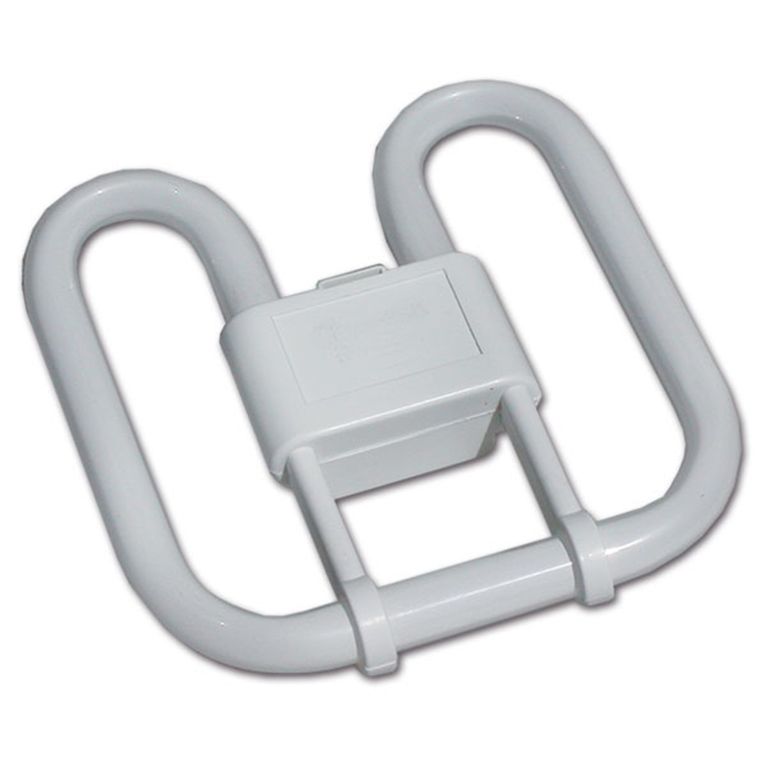 2d neon - 21 w - 4 pins