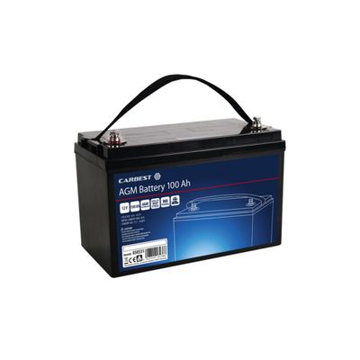 Batteria AGM 100Ah 330x171x220 mm - Carbest
