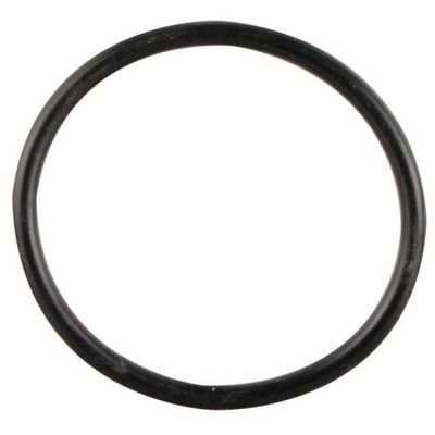 O-RING RESISTENZA ELETTRICA 32X2,5 - Truma