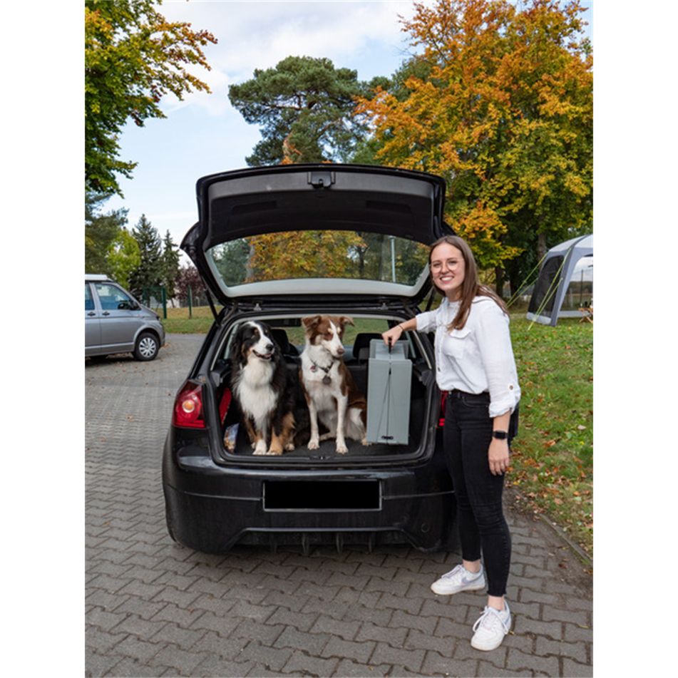 rampa-per-cani-emma-fino-a-40-kg-grigia-camp4