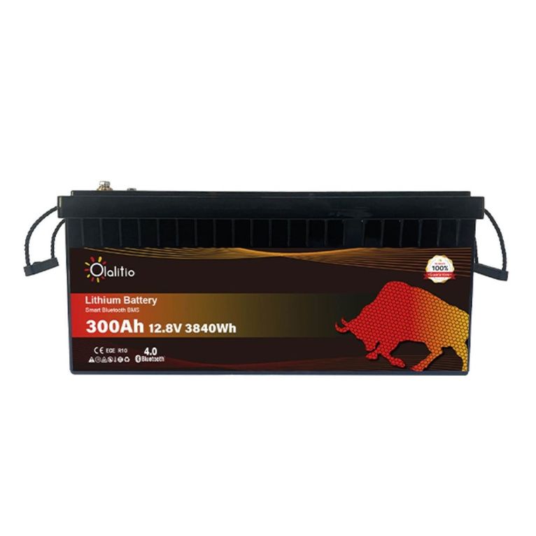 batteria litio 300ah 12,8v lifepo4 bluetooth-bms-olaliti