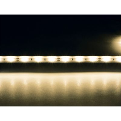 Striscia LED 12V 4,8W/m 3000K 60 LED/m IP67 - Carbest