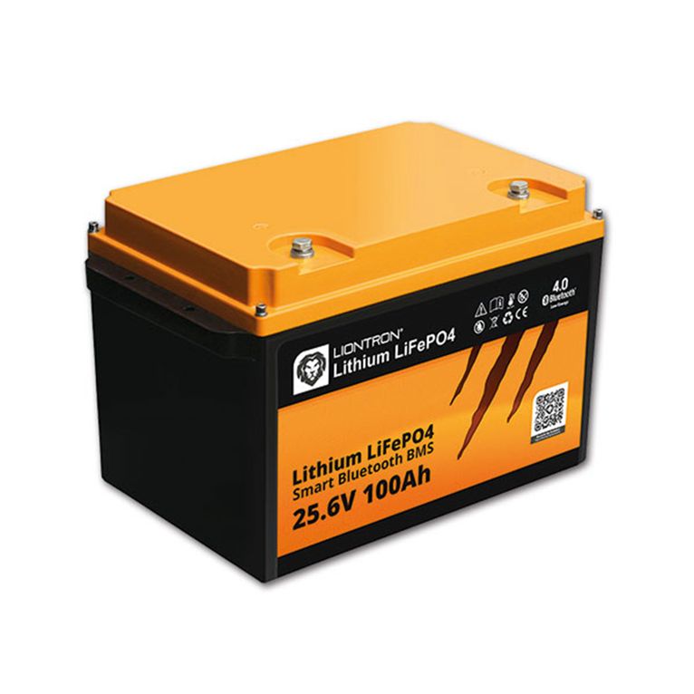 batteria liontron con bms • 25,6 v / 100 a